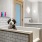 dog wash station with black and white dog in the tub